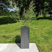 Large garden planters filled with vibrant flowers